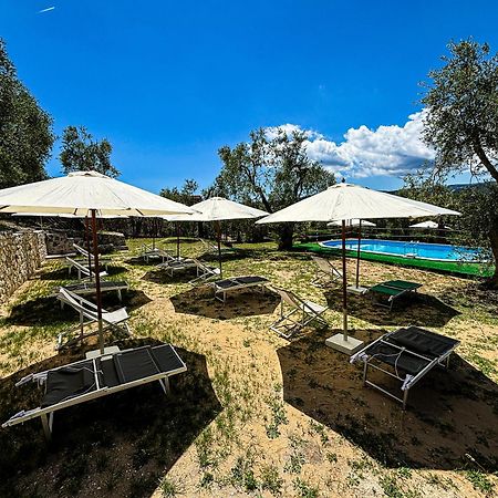 فيستَ Valle Degli Ulivi B&B المظهر الخارجي الصورة