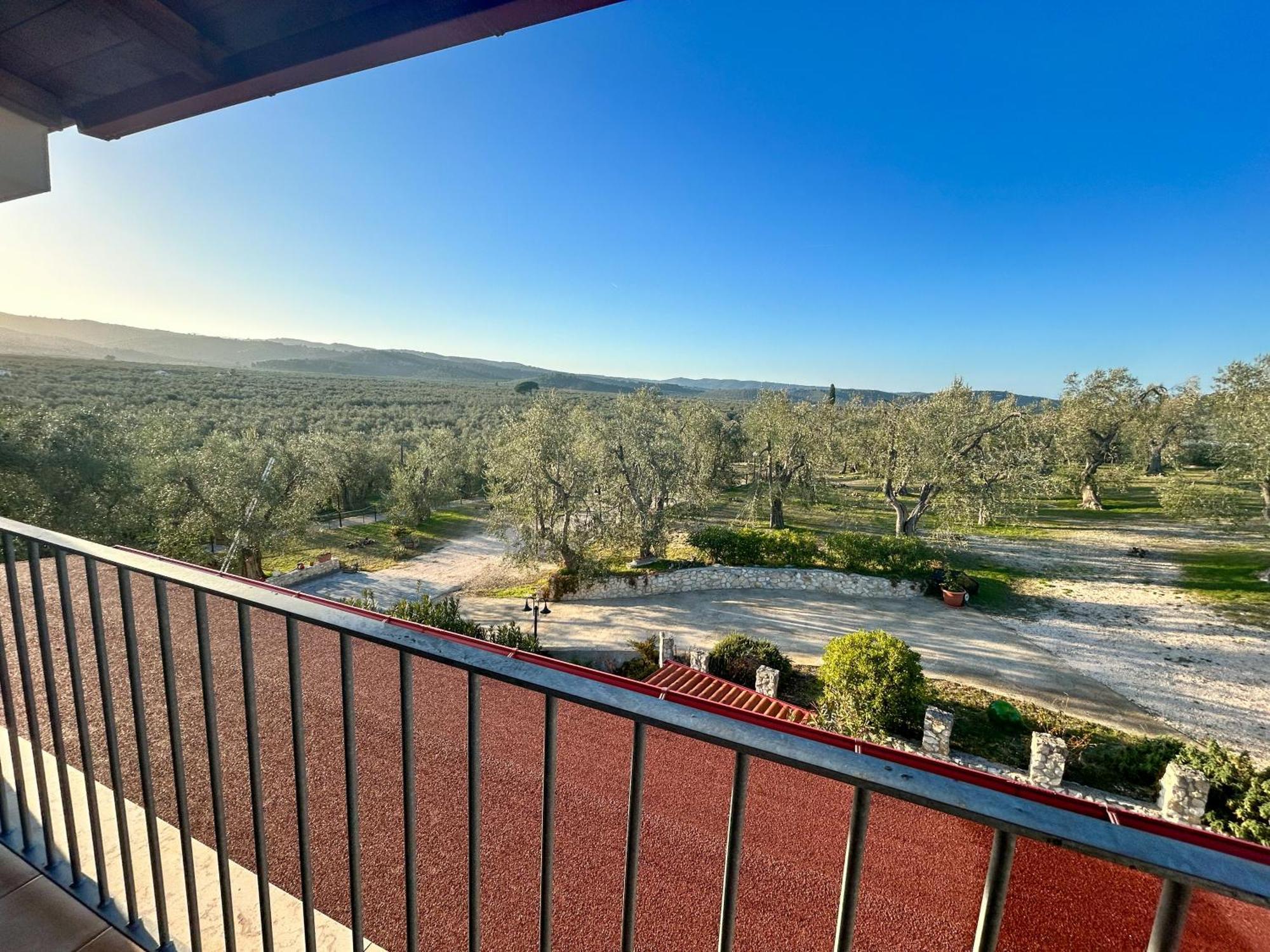 فيستَ Valle Degli Ulivi B&B المظهر الخارجي الصورة