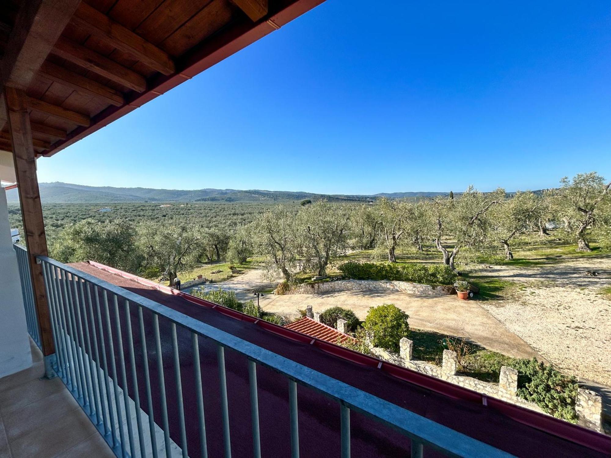 فيستَ Valle Degli Ulivi B&B المظهر الخارجي الصورة